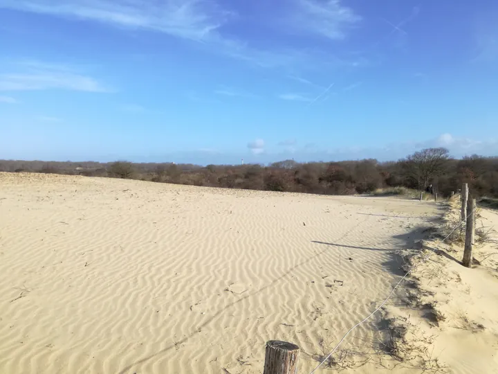 De Panne (België)